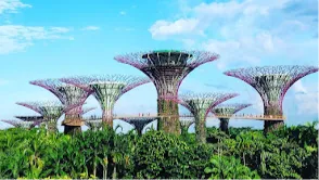 Gardens by the Bay